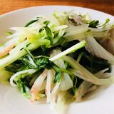 野菜を食す‼青紫蘇と水菜とカニカマのサラダ